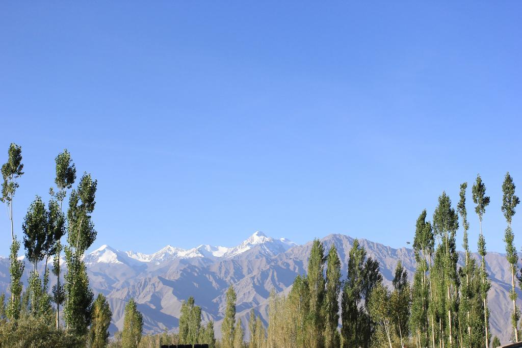 לה Hotel Nalanda Ladakh מראה חיצוני תמונה